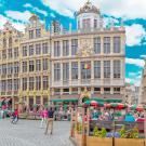 UC Davis Study Abroad, Summer Abroad Belgium, Microbiology Program, Header Image