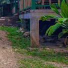 photo of a stream in Belize with yellow paddle boats parked along the side.