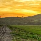 photo of a landscape with rolling hills and sunset sky