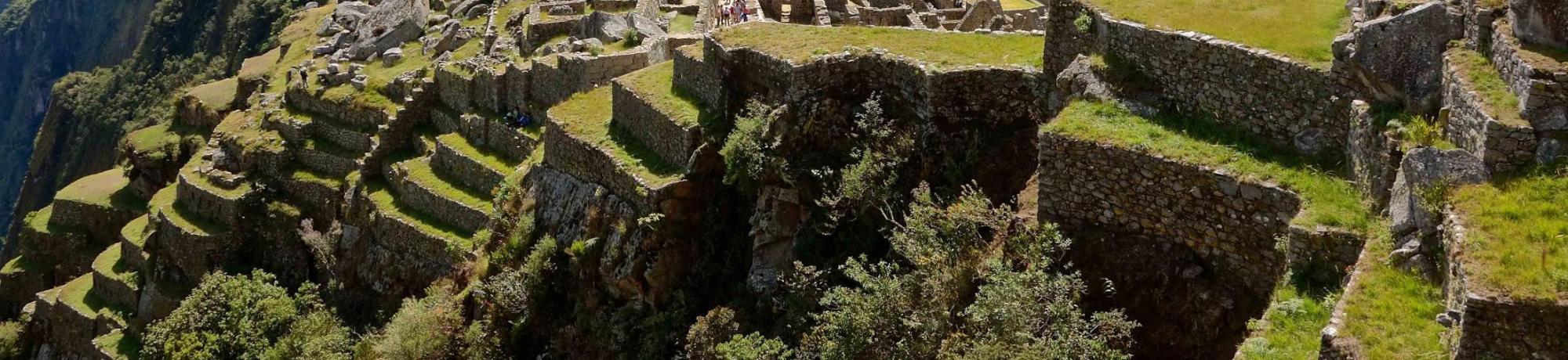UC Davis Summer Abroad Peru, Photo Album, Header