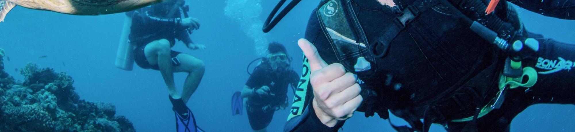 UC Davis Internship Abroad Australia, Photo Album, Header