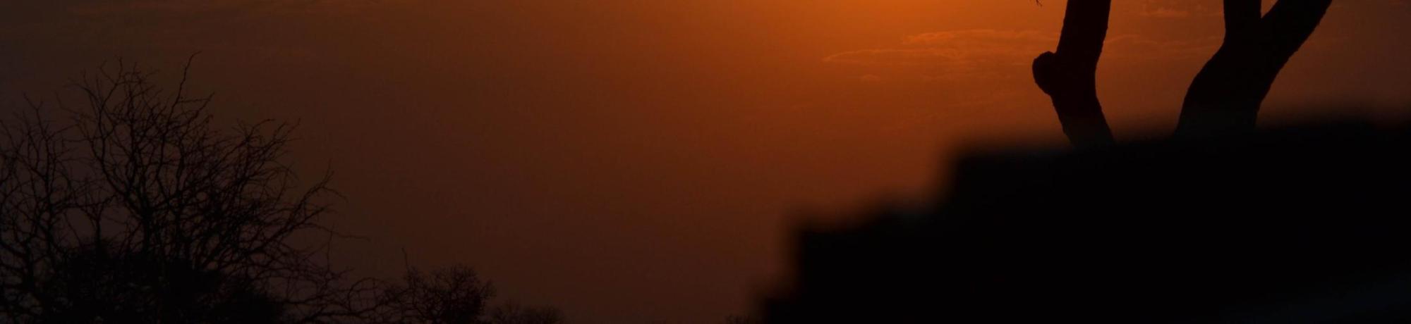 UC Davis Summer Abroad South Africa, Photo Album, Header