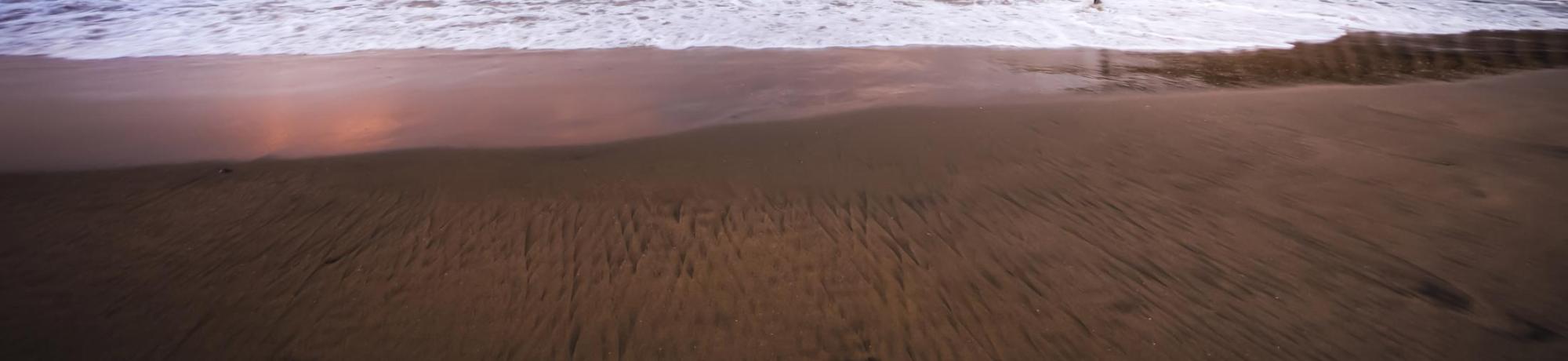 UC Davis Internship Abroad South Africa Durban, Photo Album, Header