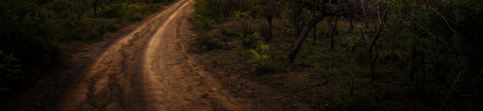 UC Davis Study Abroad, Summer Internship Abroad Ghana, Maternal Child Health & Social Determinants of Health Program, Header Image, Overview Page