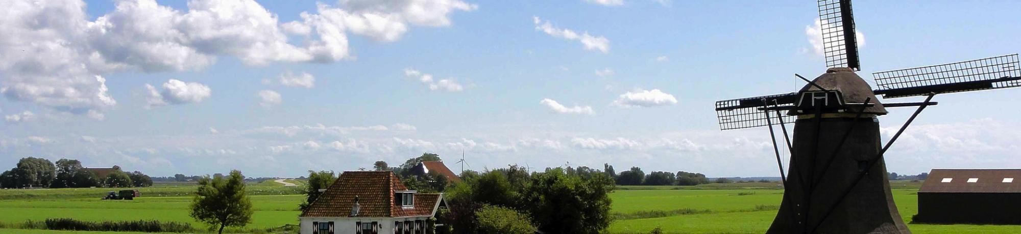 UC Davis Summer Abroad Netherlands, Photo Album, Header