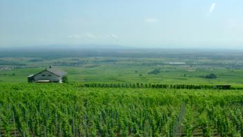UC Davis Study Abroad, Summer Abroad France_Wine Program, Photo Album, Image 6