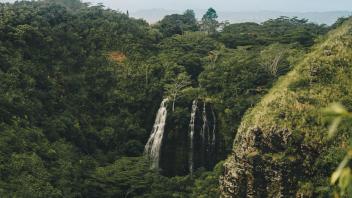 UC Davis Study Abroad, Internship Abroad Hawaii Education Program, Photo Album, Image 11