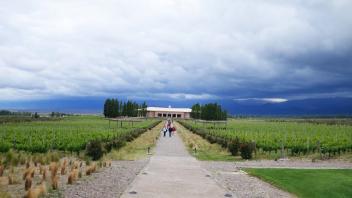 UC Davis Quarter Abroad Argentina, Photo Album 16