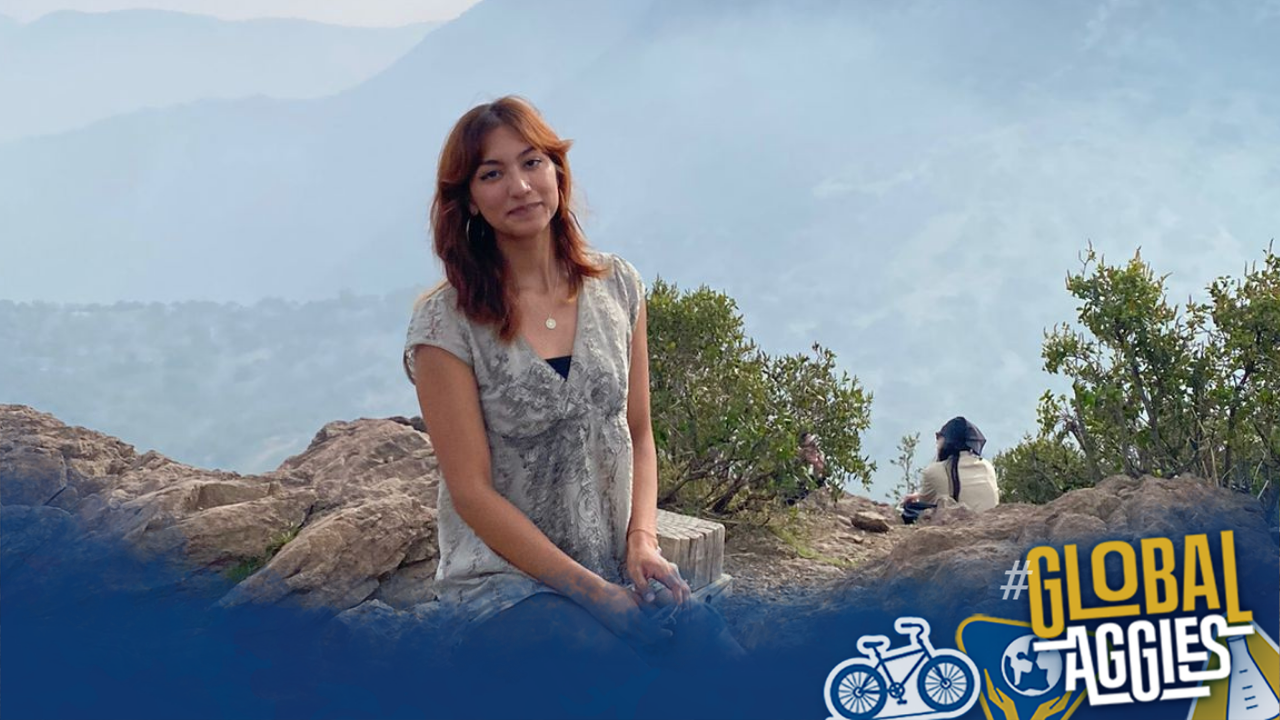 Smiling woman on rocky outcrop with misty blue mountains; Global Aggies logo