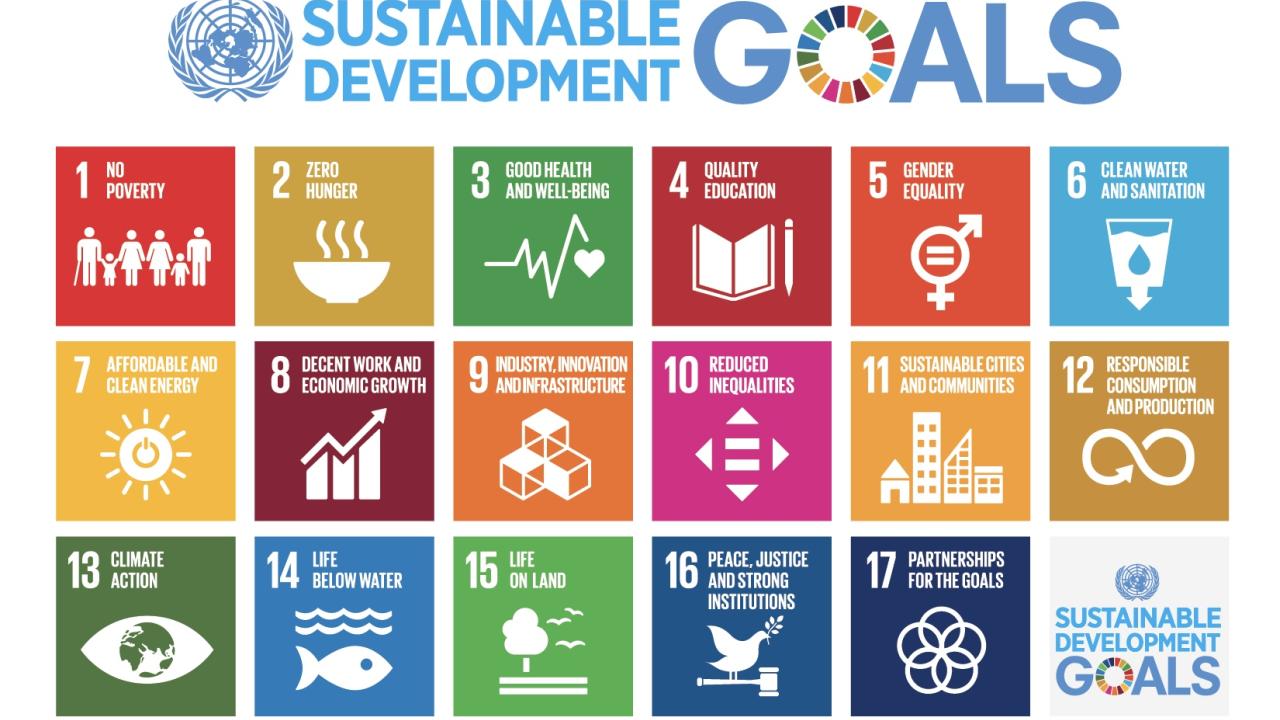 Text: UN Sustainability Goals with a list of 17 goals and icons for each
