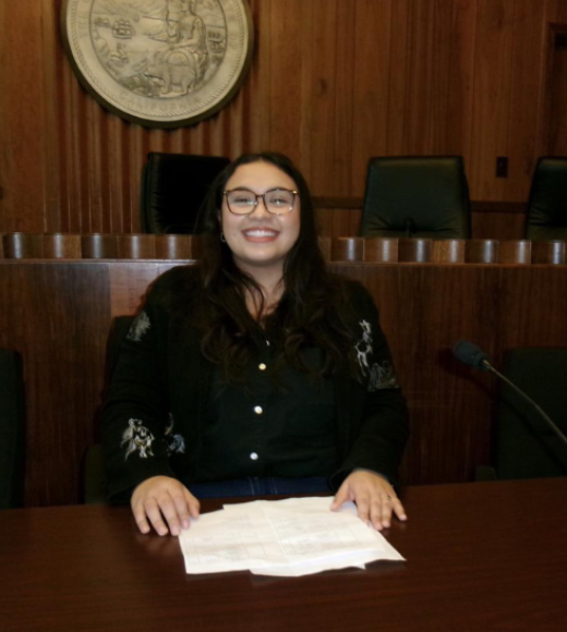 Smiling woman with glasses at wood-paneled council table with papers, photo