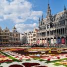 UC Davis Summer Abroad Belgium, Photo Album, Header