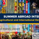 Nighttime Tokyo neon street with blue banner reading Summer Abroad Internships and program logos